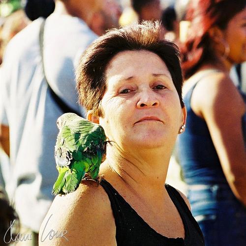 2002 Cuba, Havana, Woman with parrot, B 8134, 850x850px